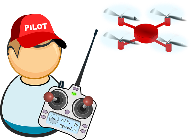Drohnenpilot Drohnenpilot